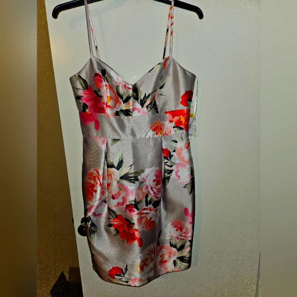 Eliza J dress